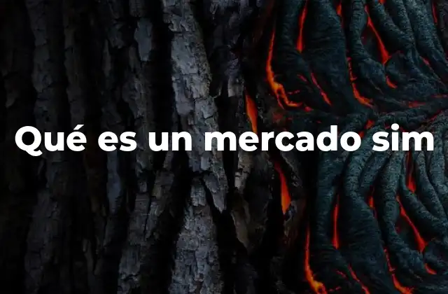 Qué es un Mercado Sim