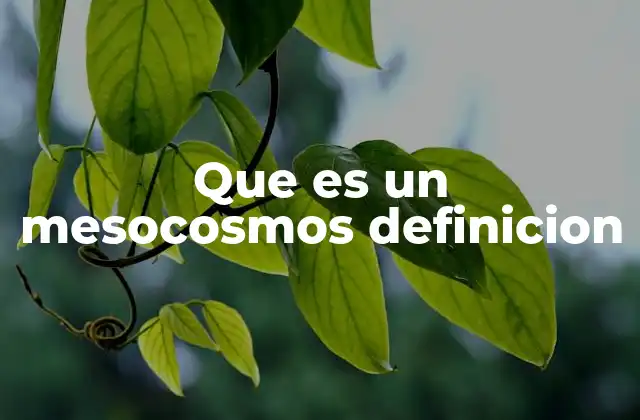 Que es un Mesocosmos Definicion