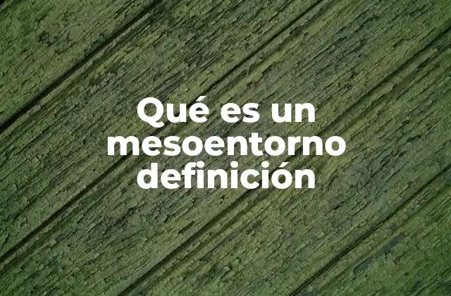Qué es un Mesoentorno Definición