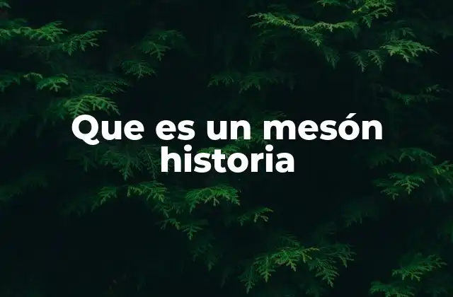 Que es un Mesón Historia