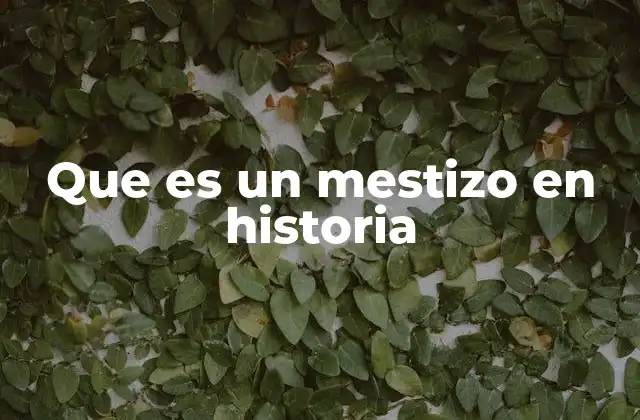 Que es un Mestizo en Historia