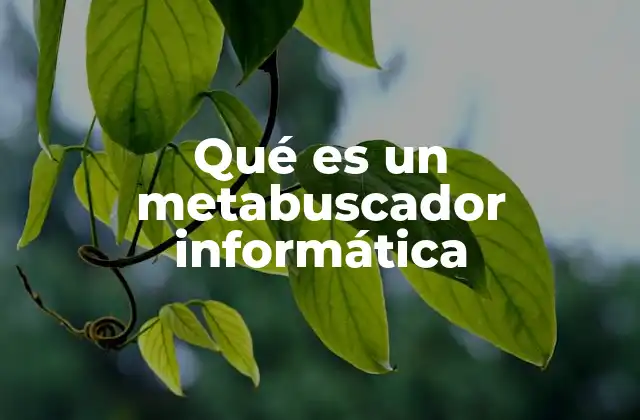 Qué es un Metabuscador Informática 2 Funcionamiento de los metabuscadores en la búsqueda de información