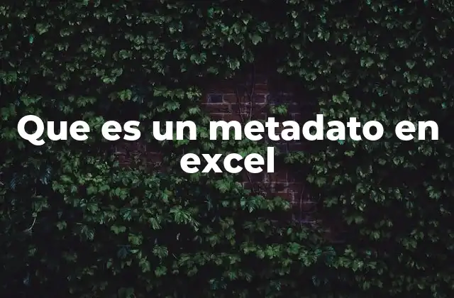 Que es un Metadato en Excel