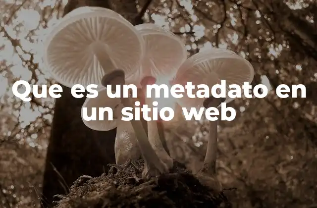Que es un Metadato en un Sitio Web