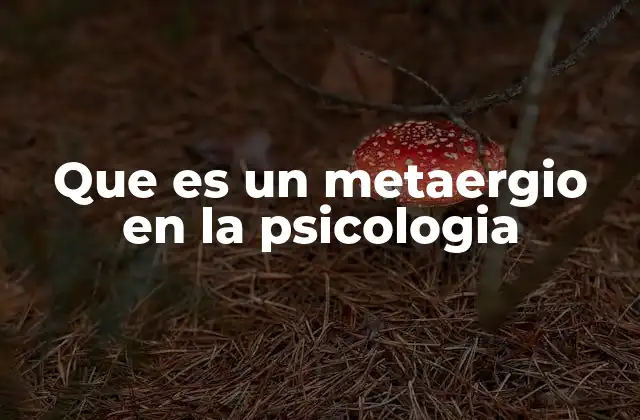 Que es un Metaergio en la Psicologia