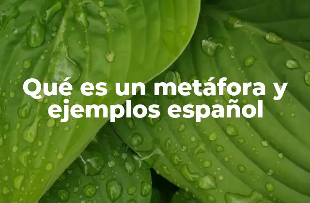 Qué es un Metáfora y Ejemplos Español