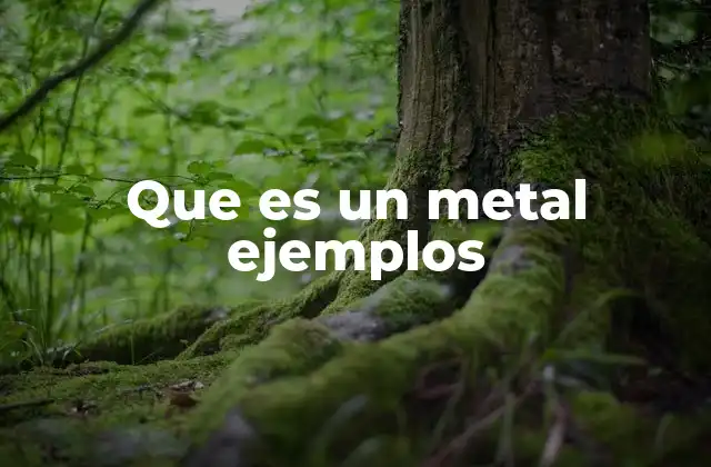 Que es un Metal Ejemplos
