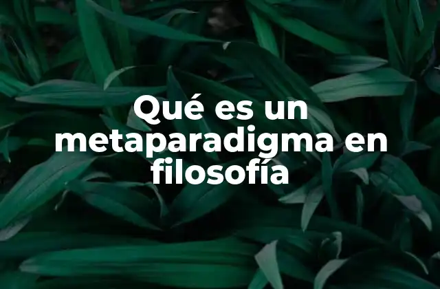 Qué es un Metaparadigma en Filosofía