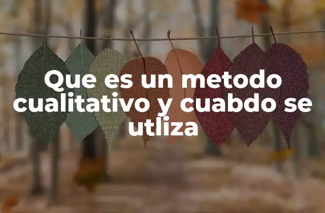 Que es un Metodo Cualitativo y Cuabdo Se Utliza