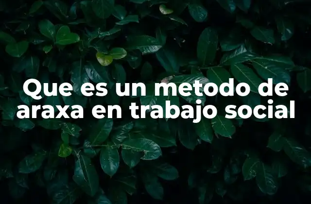 Que es un Metodo de Araxa en Trabajo Social