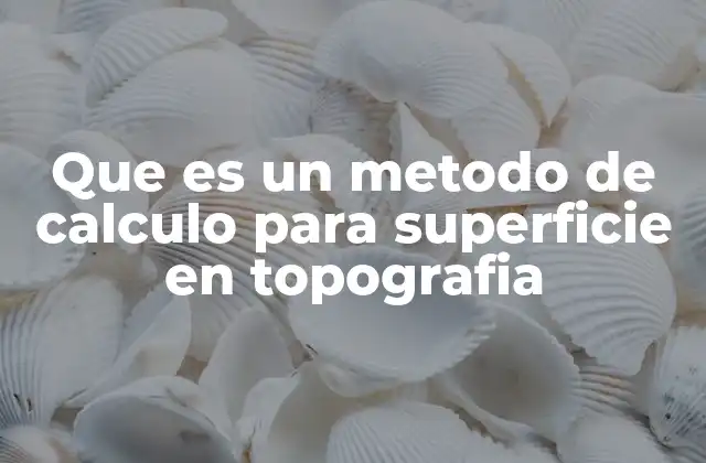 Que es un Metodo de Calculo para Superficie en Topografia