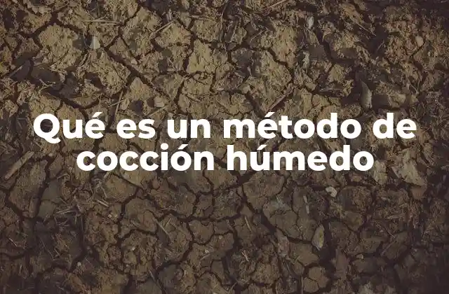 Qué es un Método de Cocción Húmedo
