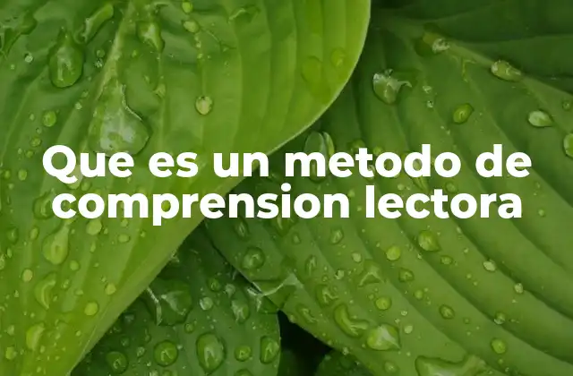 Que es un Metodo de Comprension Lectora