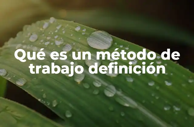 Qué es un Método de Trabajo Definición