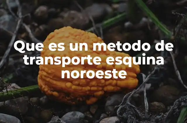 Que es un Metodo de Transporte Esquina Noroeste