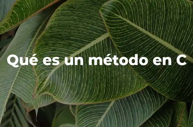 Qué es un Método en C