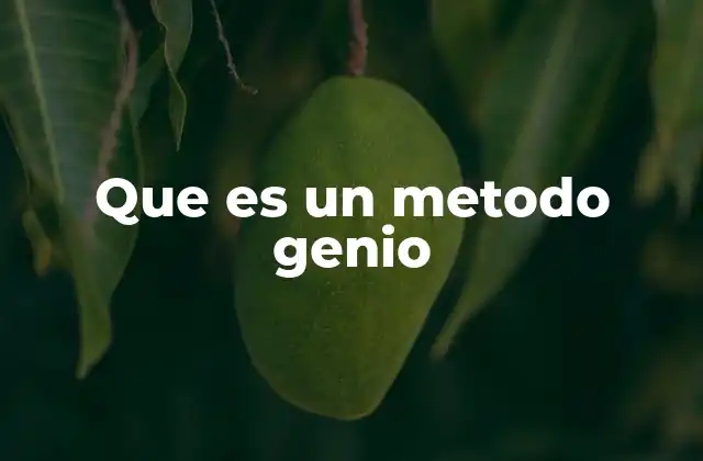 Que es un Metodo Genio