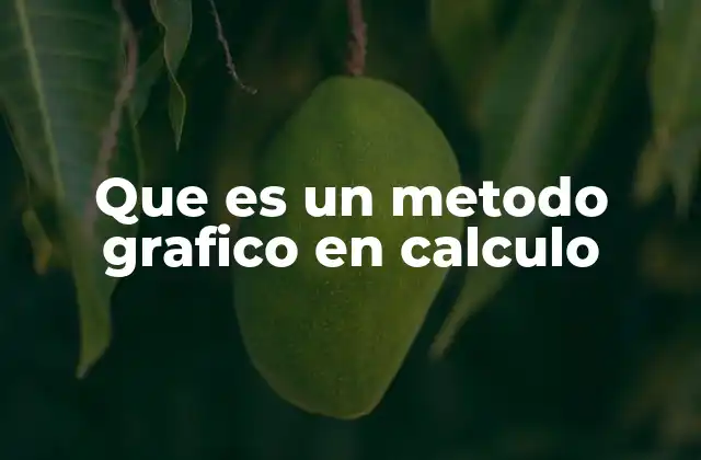 Que es un Metodo Grafico en Calculo
