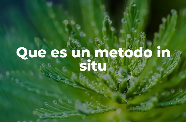 Que es un Metodo In Situ