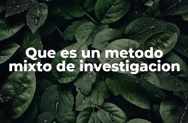 Que es un Metodo Mixto de Investigacion