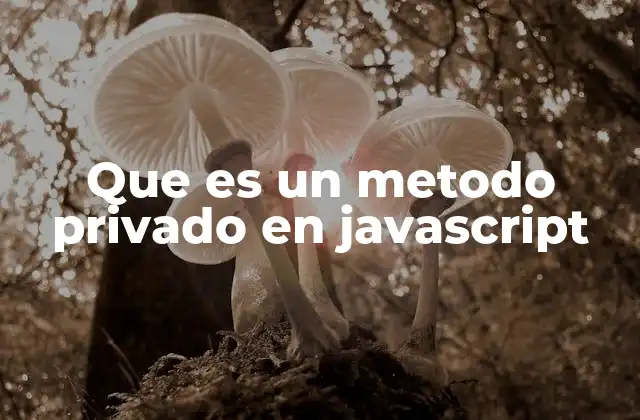 Que es un Metodo Privado en Javascript