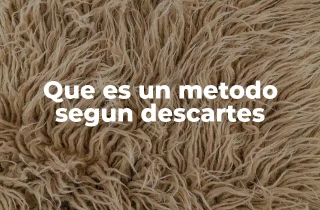 Que es un Metodo Segun Descartes