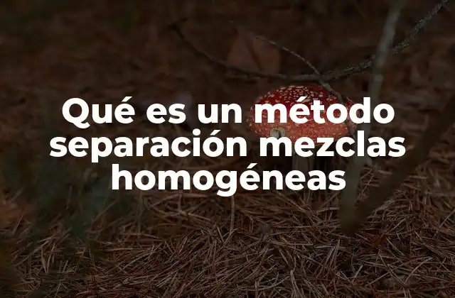 Qué es un Método Separación Mezclas Homogéneas
