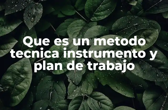 Que es un Metodo Tecnica Instrumento y Plan de Trabajo