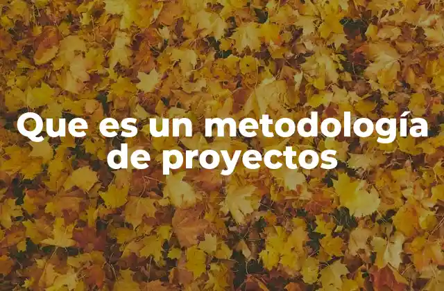 Que es un Metodología de Proyectos