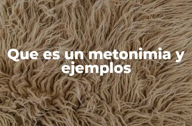 Que es un Metonimia y Ejemplos