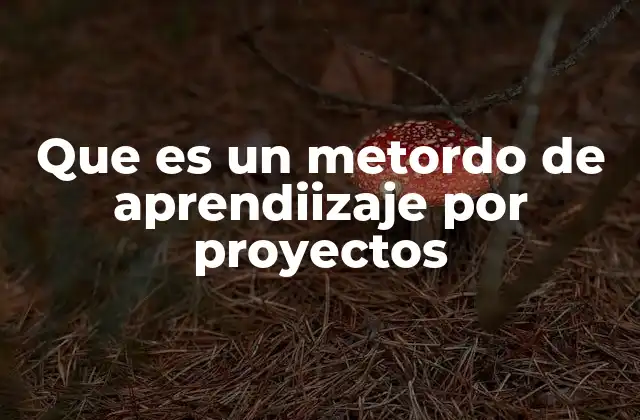 Que es un Metordo de Aprendiizaje por Proyectos