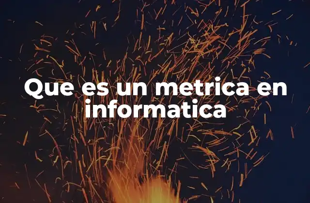 Que es un Metrica en Informatica