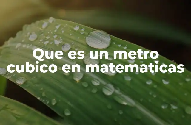 Que es un Metro Cubico en Matematicas