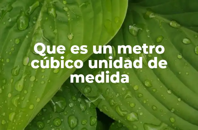 Que es un Metro Cúbico Unidad de Medida