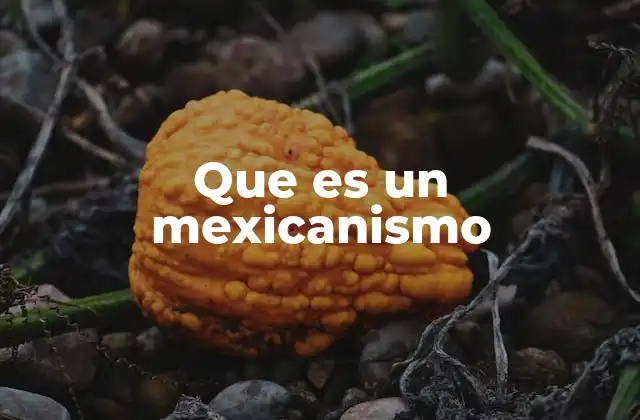 Que es un Mexicanismo