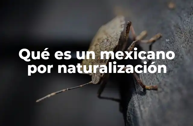 Qué es un Mexicano por Naturalización