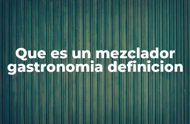 Que es un Mezclador Gastronomia Definicion