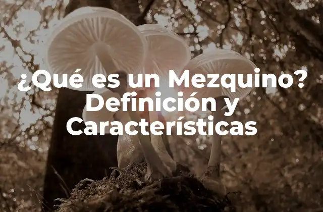 ¿qué es un Mezquino? Definición y Características