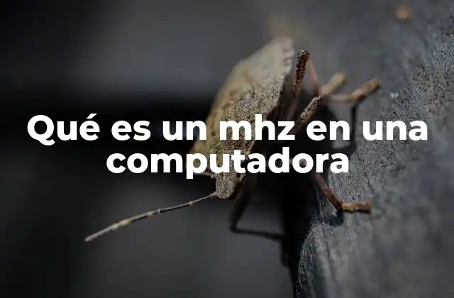 Qué es un Mhz en una Computadora