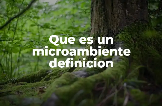 Que es un Microambiente Definicion