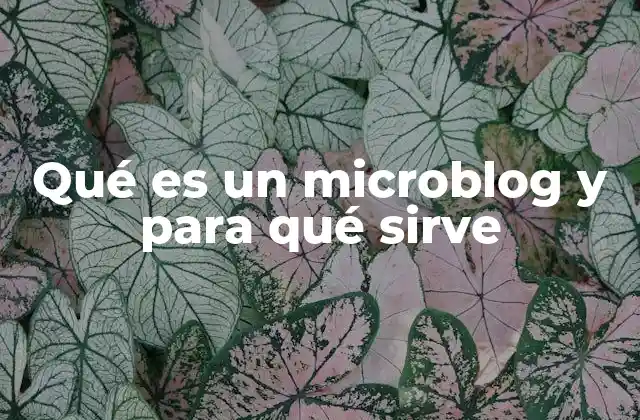 Qué es un Microblog y para Qué Sirve