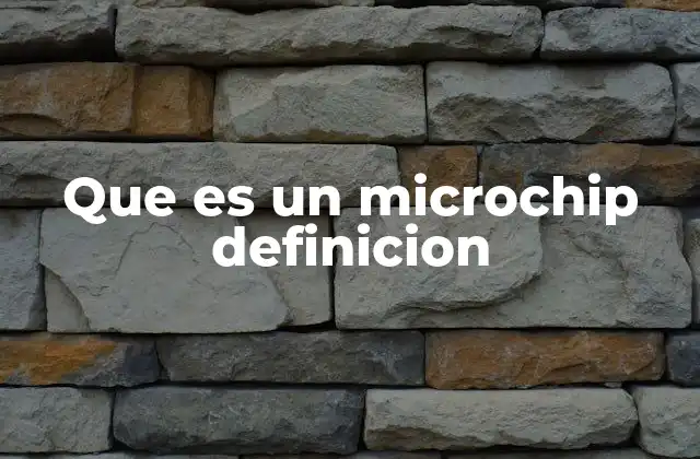 Que es un Microchip Definicion