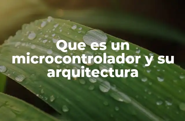Que es un Microcontrolador y Su Arquitectura