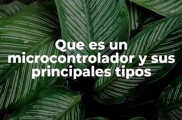 Que es un Microcontrolador y Sus Principales Tipos