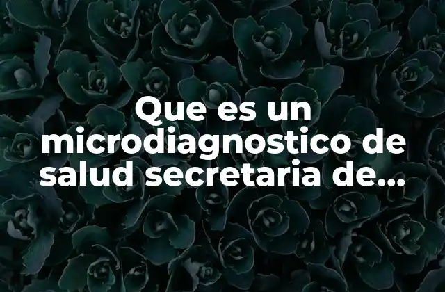 Que es un Microdiagnostico de Salud Secretaria de Salud