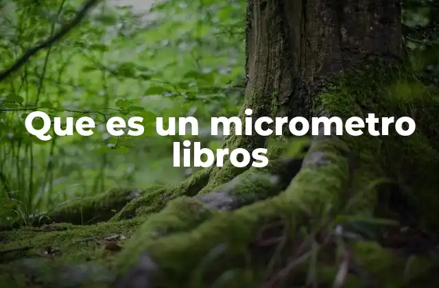 Que es un Micrometro Libros