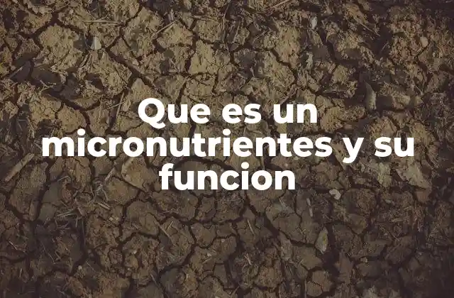 Que es un Micronutrientes y Su Funcion