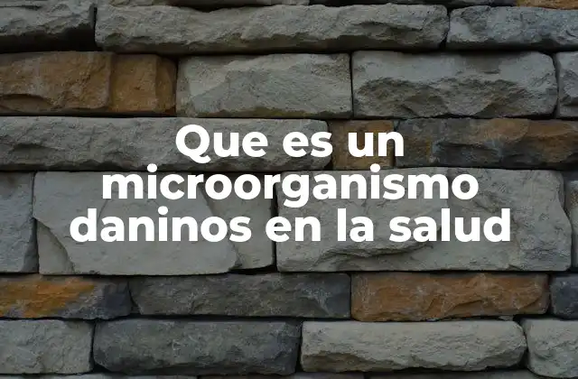 Que es un Microorganismo Daninos en la Salud