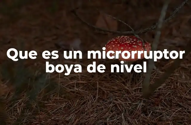 Que es un Microrruptor Boya de Nivel