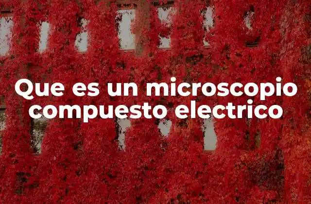 Que es un Microscopio Compuesto Electrico